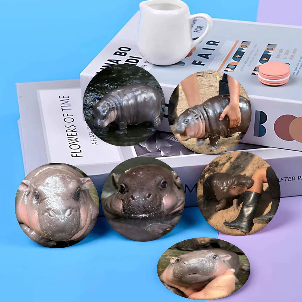 Baby Hippo Moo Deng Badge Tinp – Baby Clothing Japan Bewertung und Preis